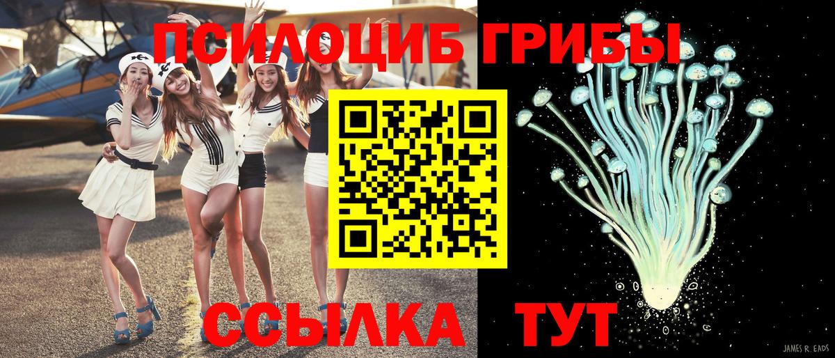 Галлюциногенные грибы GOLDEN TEACHER Наро-Фоминск