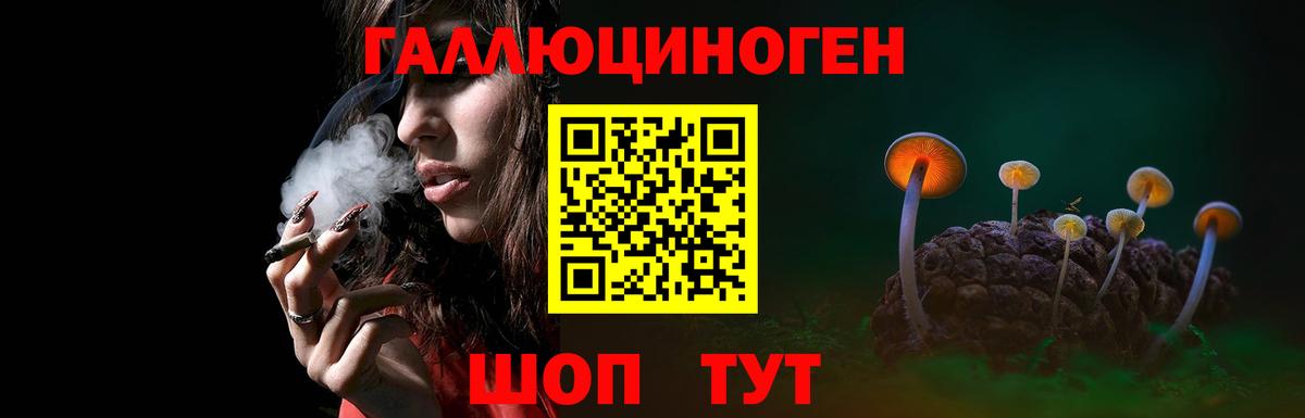 Наро-Фоминск  Галлюциногенные грибы MAGIC MUSHROOMS  Вход с VPN  Псилоцибиновые грибы прущие грибы 